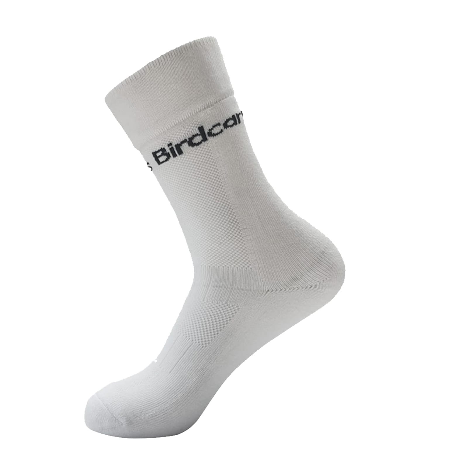 WhatsApp Image 2025-08-28 at 1.48.28 PM